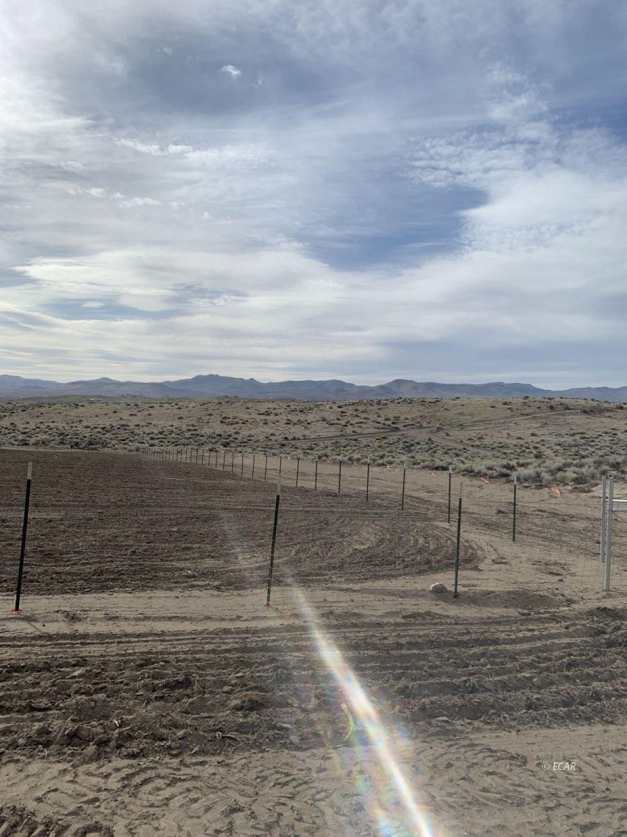 6675 Tyler Avenue Elko, NV 89801 - Photo 9 of 17