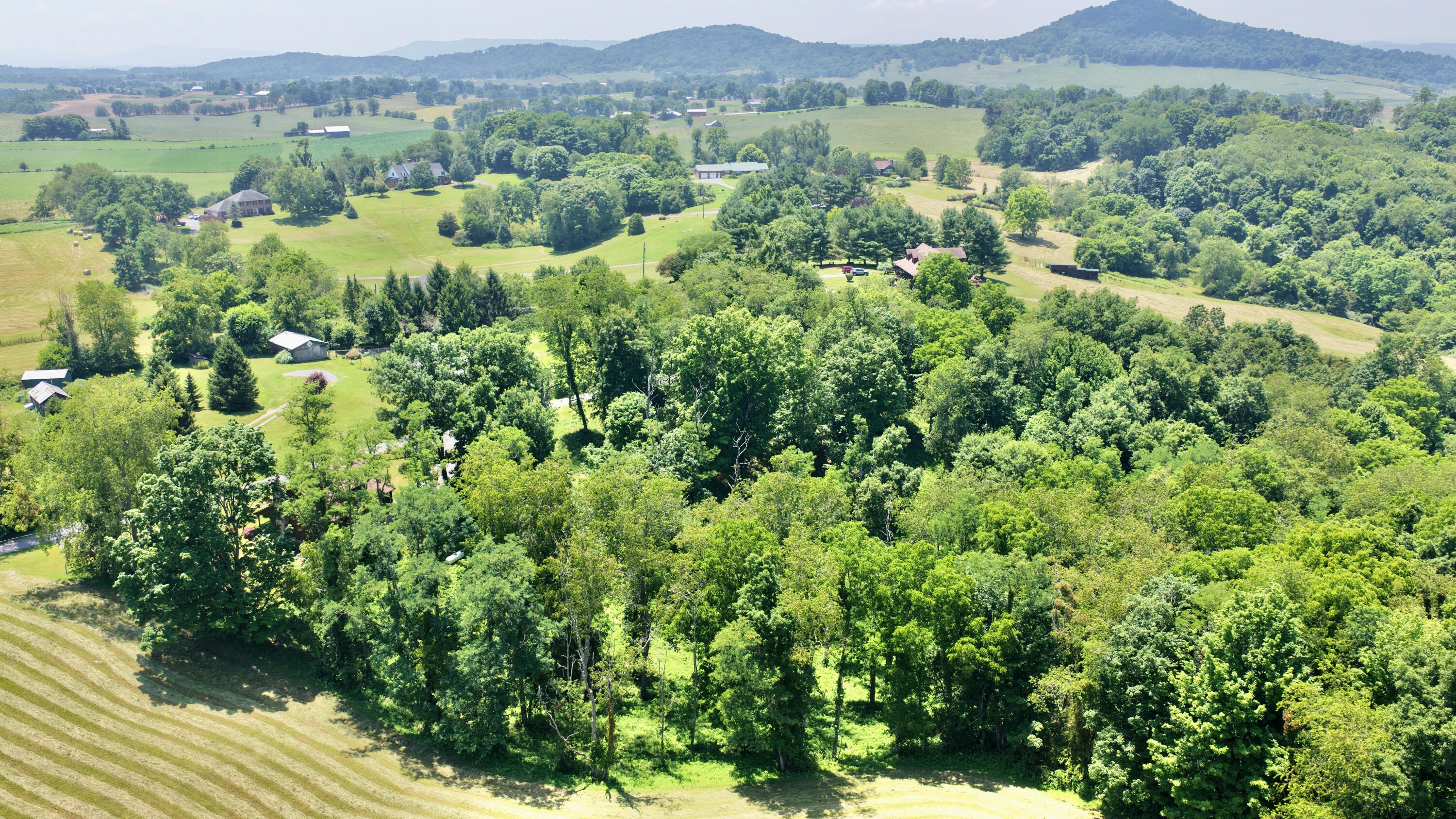 300 Max Meadows Road Lewisburg, WV 24901 - Photo 26 of 77 Gallery Image 26
