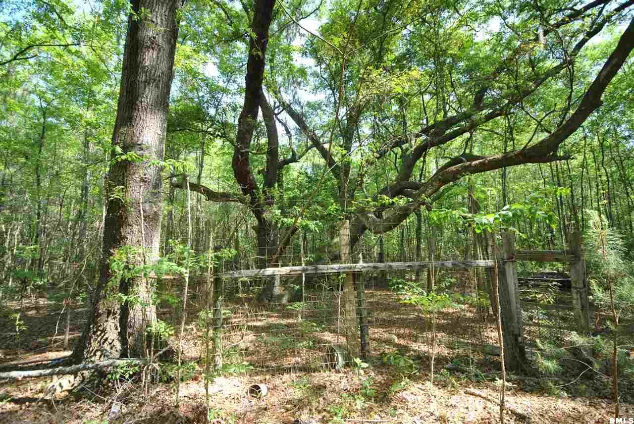 Tbd Ellis Hodge Ridgeland, SC 29936 - Photo 12 of 16 Additional Photo