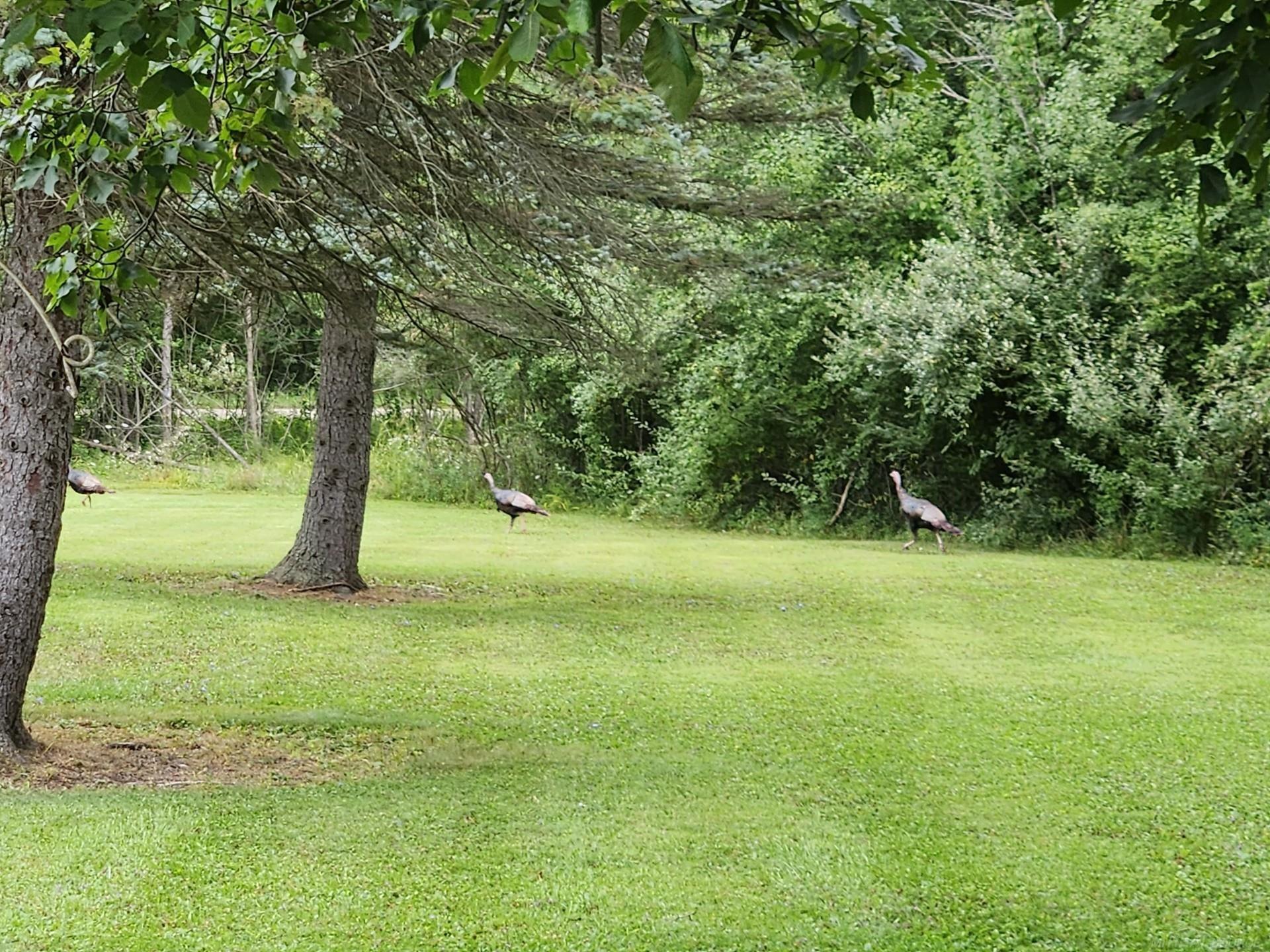 13559 Jeddo Road Yale, MI 48097 - Photo 69 of 69