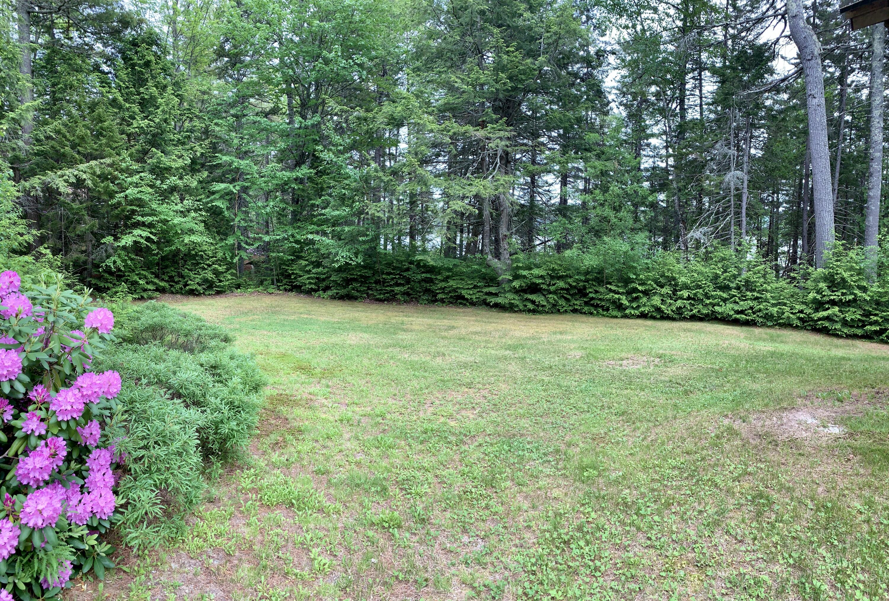 176 Long Point Way Orland, ME 04472 - Photo 32 of 32 20210608_201125133_iOS