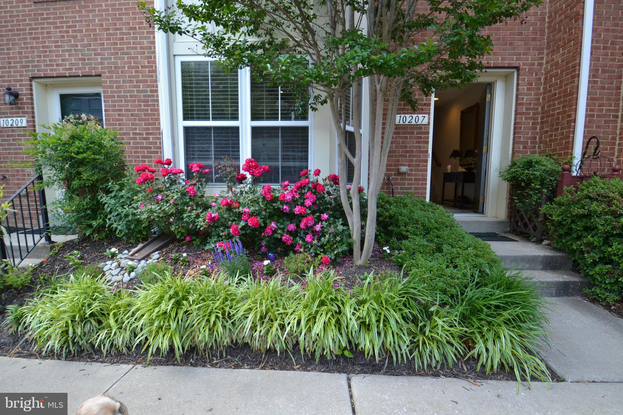 10207 Rutland Round Road, Unit 65 Columbia, MD 21044 - Photo 1 of 32 Beautiful front garden can be yours this spring