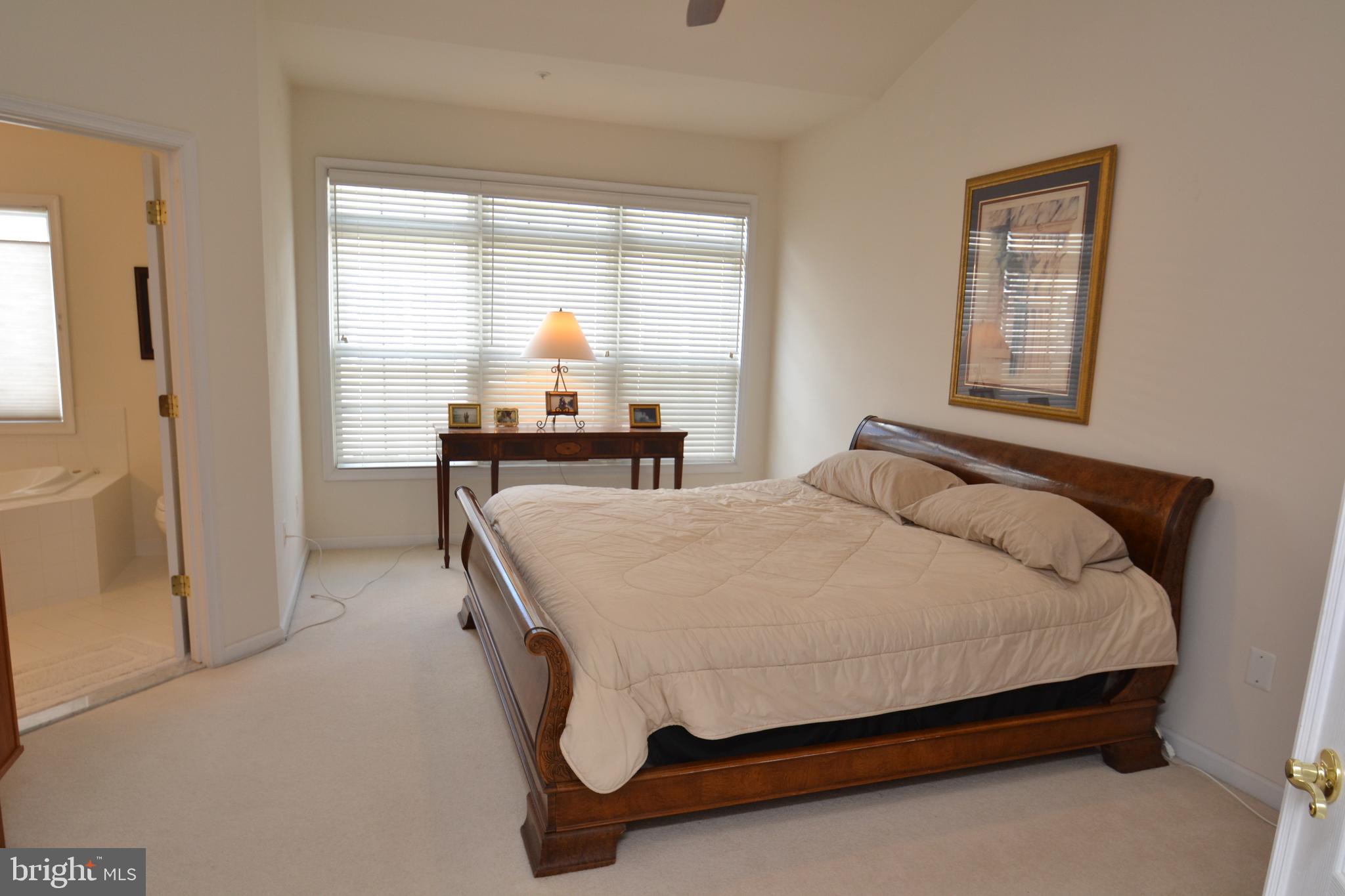 10207 Rutland Round Road, Unit 65 Columbia, MD 21044 - Photo 22 of 32 Owners suite easily accommodates king bed +