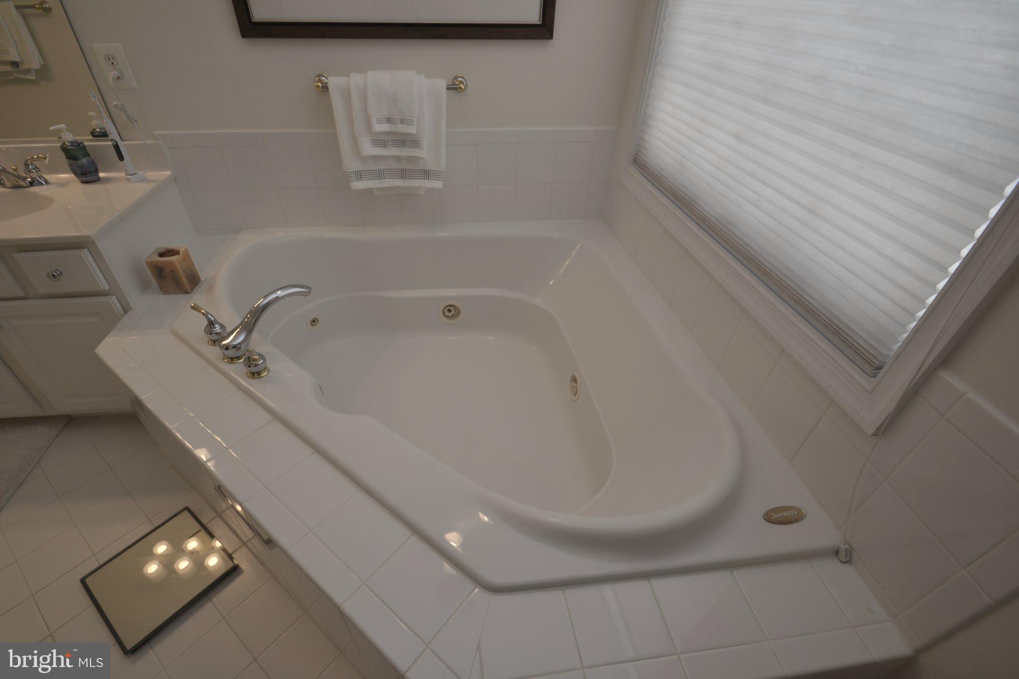 10207 Rutland Round Road, Unit 65 Columbia, MD 21044 - Photo 26 of 32 Owners bath with jetted soaking tub