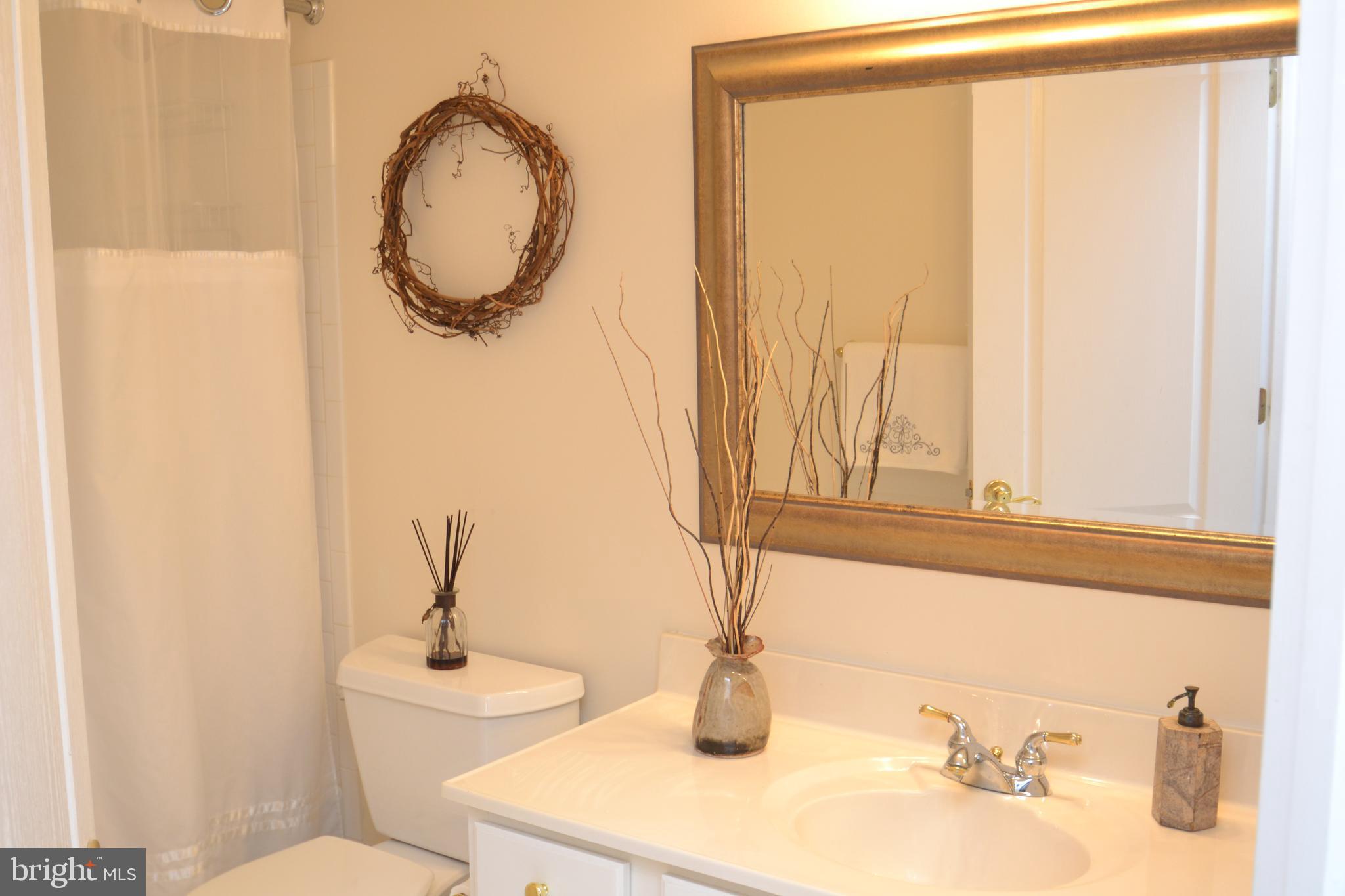 10207 Rutland Round Road, Unit 65 Columbia, MD 21044 - Photo 29 of 32 Hall Bath