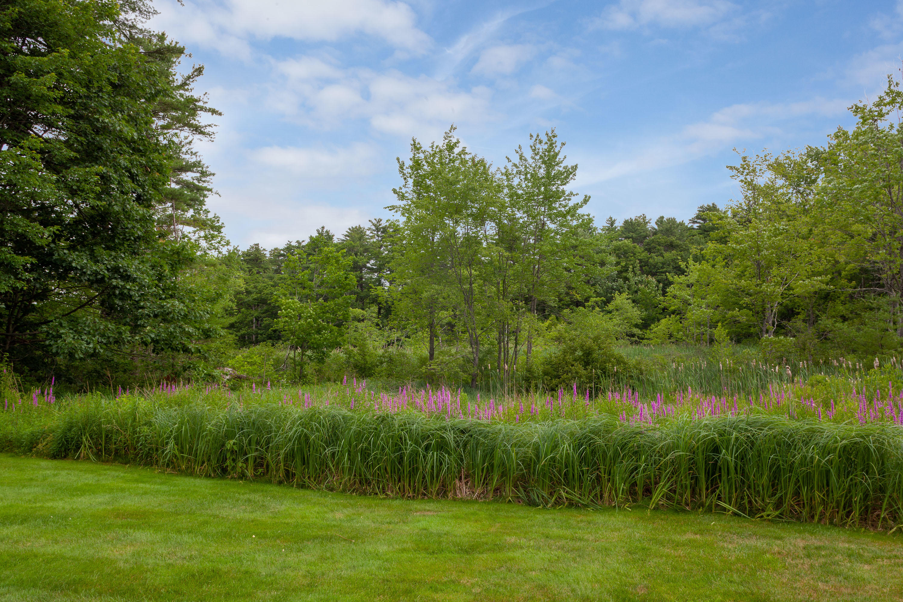 10 Old Cape Road Kennebunkport, ME 04046 - Photo 4 of 26 Back yard views