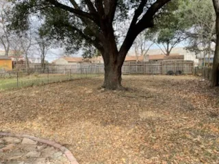 a view of backyard with tree