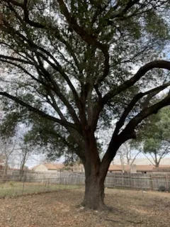 $1,250 | 7402 Southgate Lane, Unit B, Austin, TX 78744