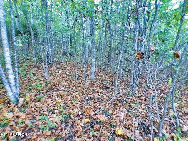 $17,000 | View Lane, La Follette, TN 37766