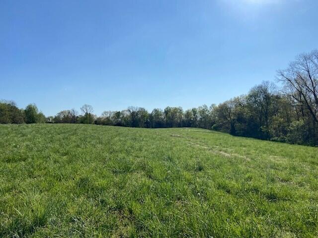 2451 Sardis Road Mount Olivet, KY 41064 - Photo 26 of 42