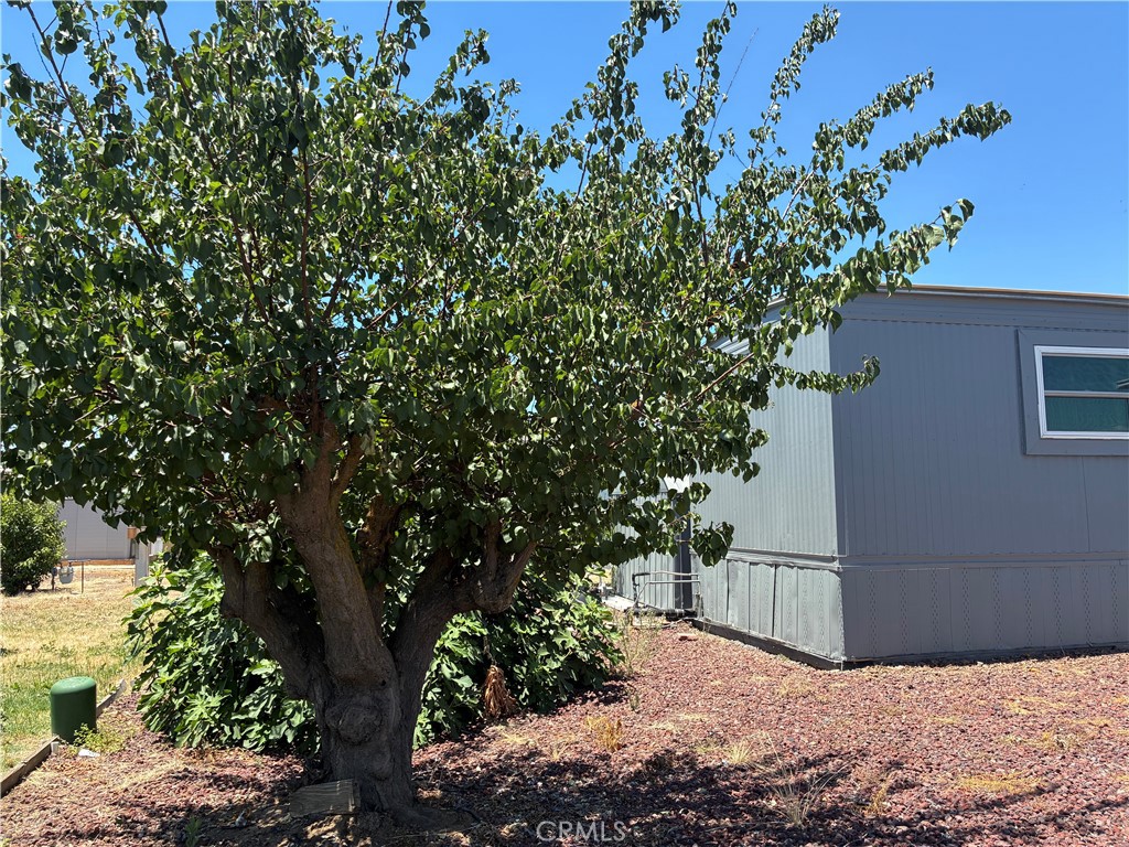 2500 Highway 59, Unit 74 Merced, CA 95348 - Photo 16 of 17