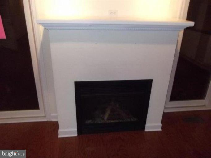 605 Twin Tree Road Salisbury, MD 21801 - Photo 3 of 10 Fireplace