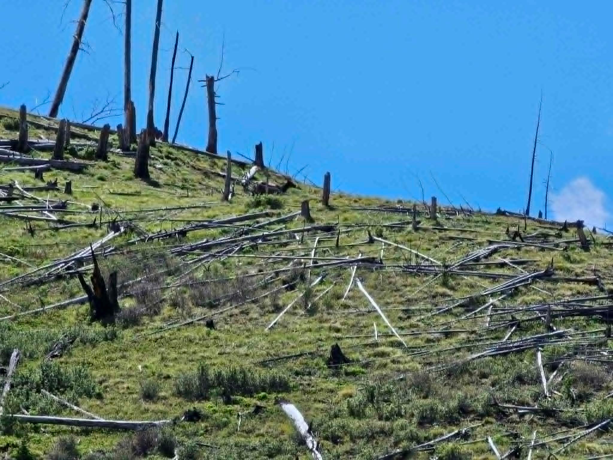 Nhn Blind Creek Draw Road Conner, MT 59827 - Photo 17 of 27 Gallery Image 17