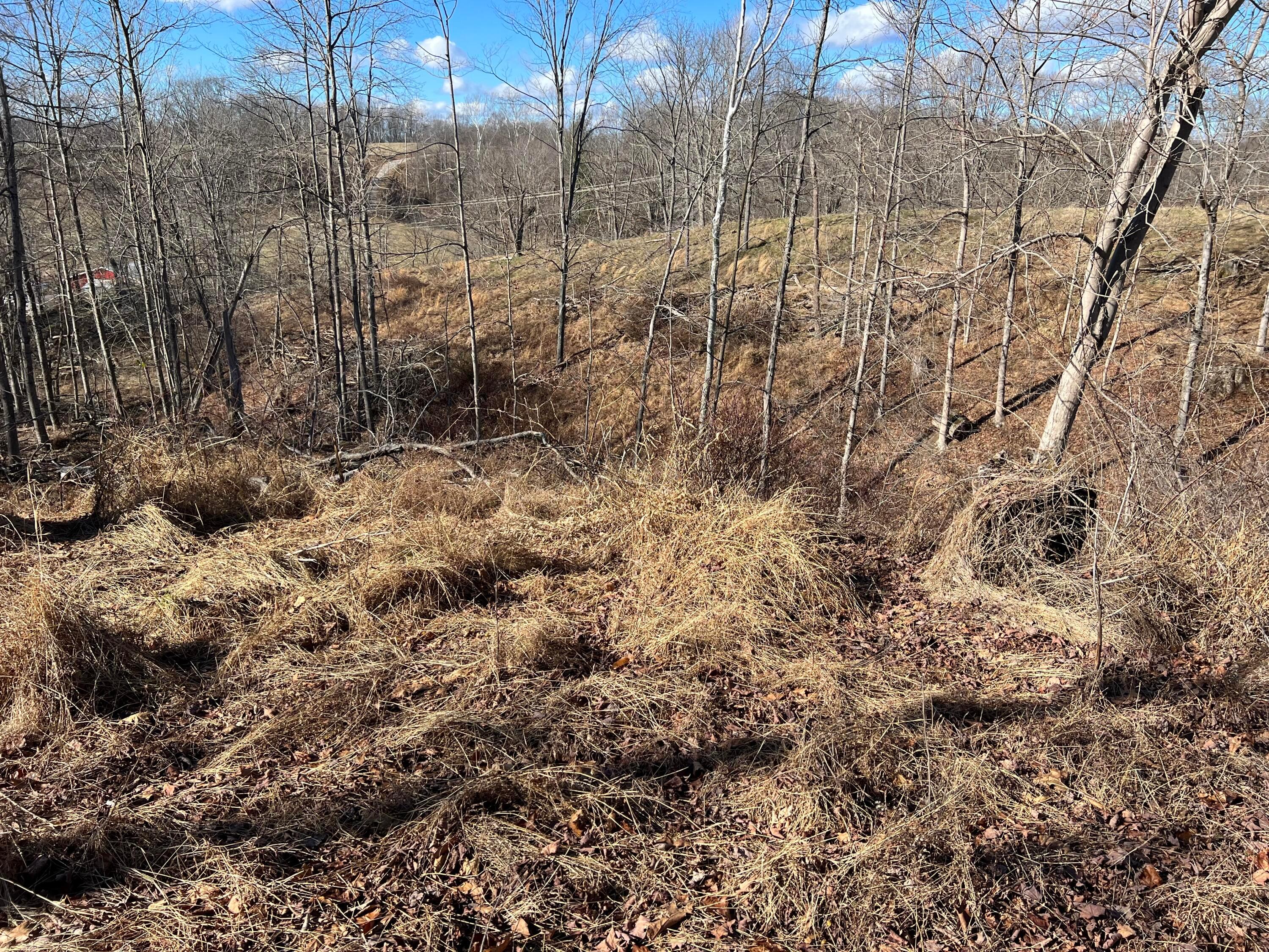 0 McGrath Road, Unit MCGRATH TRACT 3) Athens, OH 45701 - Photo 25 of 27 20240111_182145615_iOS