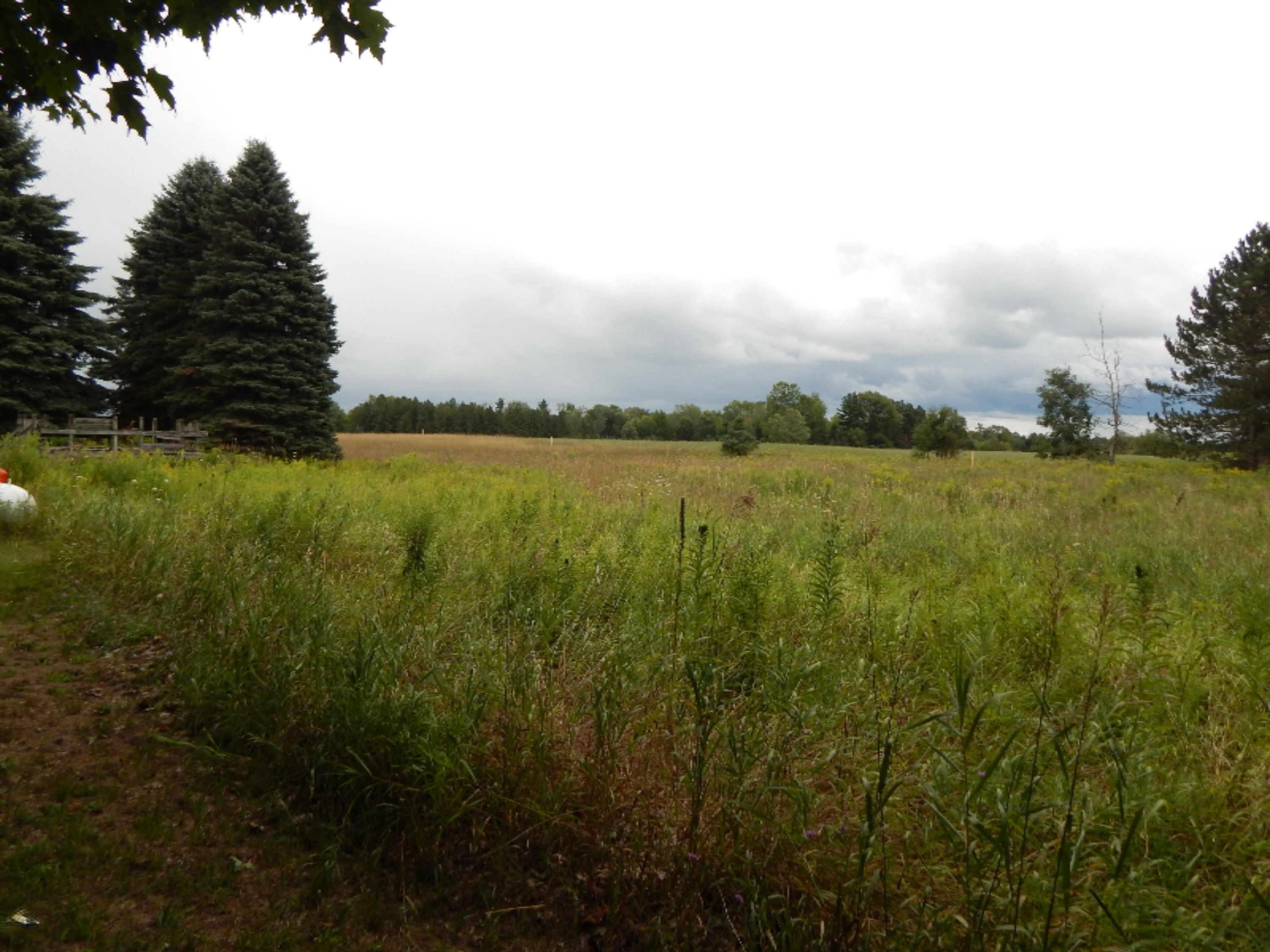 3065 West Conrad Road Ludington, MI 49431 - Photo 11 of 13 Panoramic Views