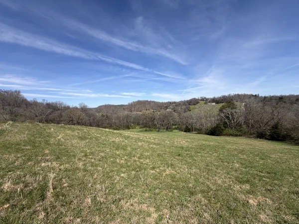 a view of a field with mountains in the background