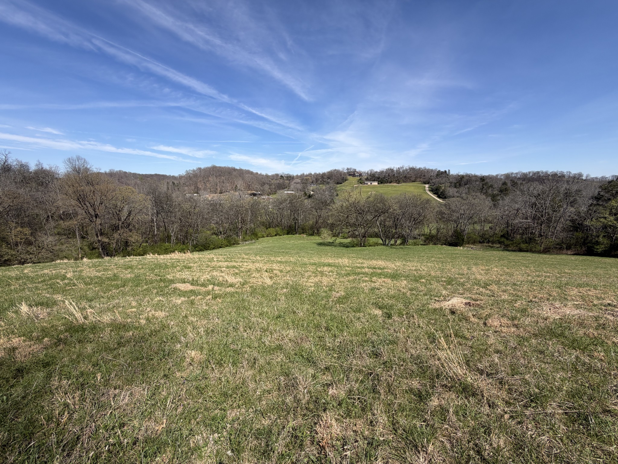 20 Fly Road Santa Fe, TN 38482 - Photo 14 of 22 a view of a field with mountains in the background