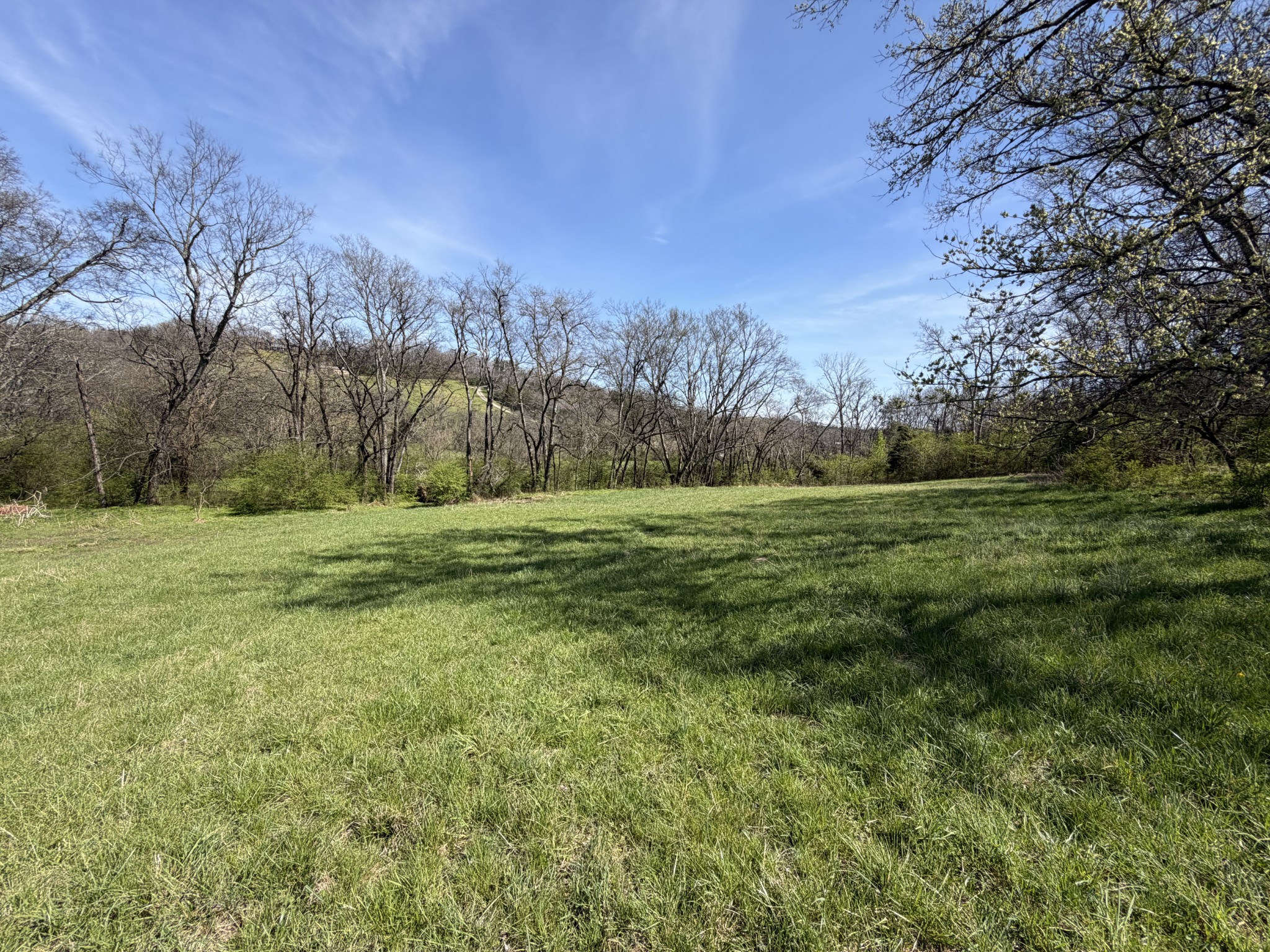 20 Fly Road Santa Fe, TN 38482 - Photo 16 of 22 a view of outdoor space with green field and trees all around