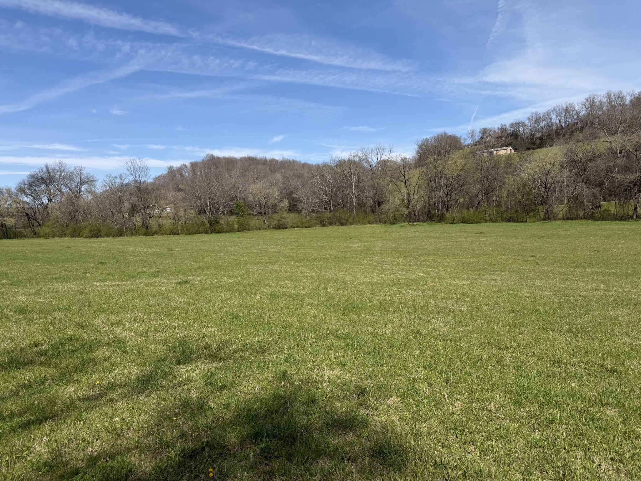 20 Fly Road Santa Fe, TN 38482 - Photo 2 of 22 a view of outdoor space and mountain view