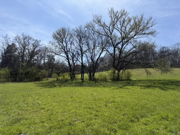 a view of a field