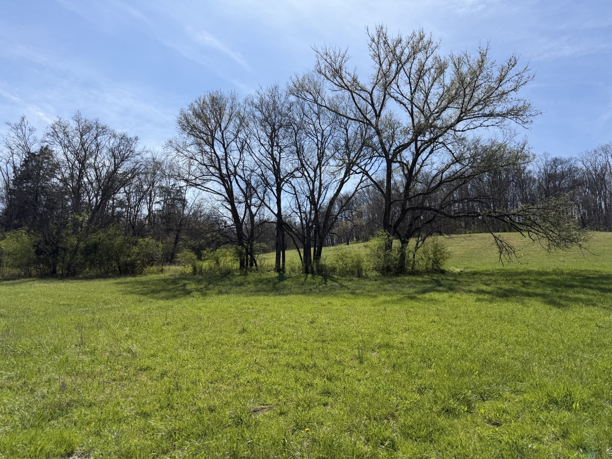 20 Fly Road Santa Fe, TN 38482 - Photo 3 of 22 a view of a field