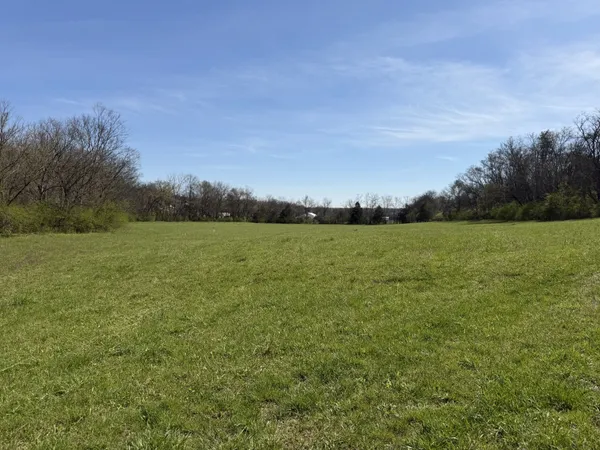 a view of a field with an ocean view