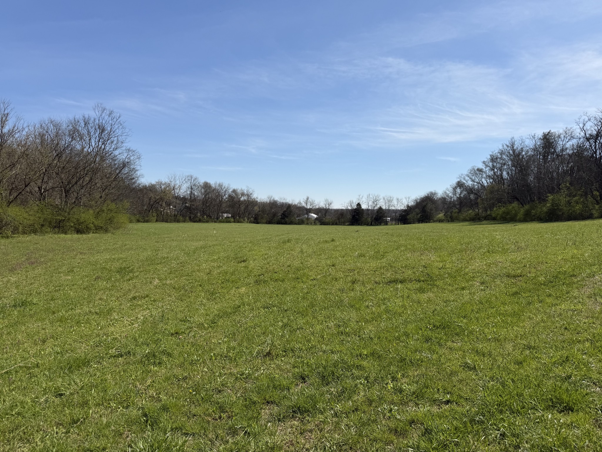 20 Fly Road Santa Fe, TN 38482 - Photo 4 of 22 a view of a field with an ocean view