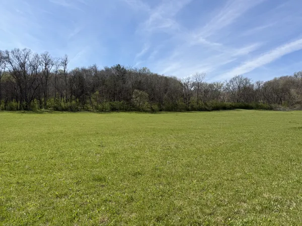 a view of a field with an ocean