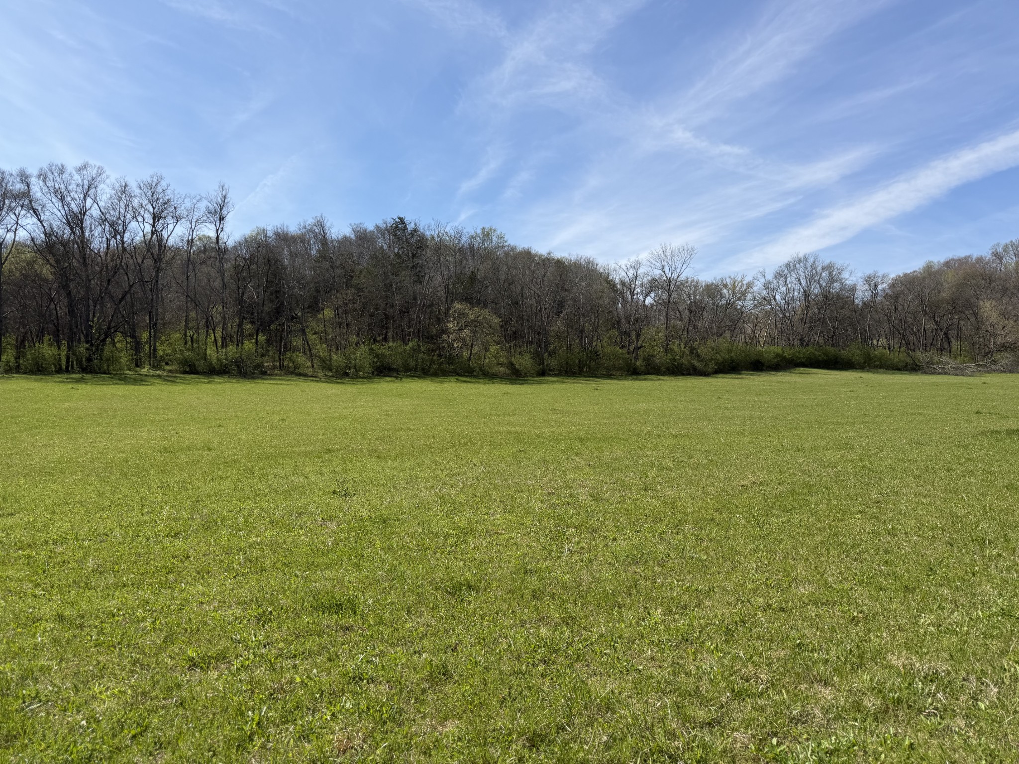 20 Fly Road Santa Fe, TN 38482 - Photo 6 of 22 a view of a field with an ocean