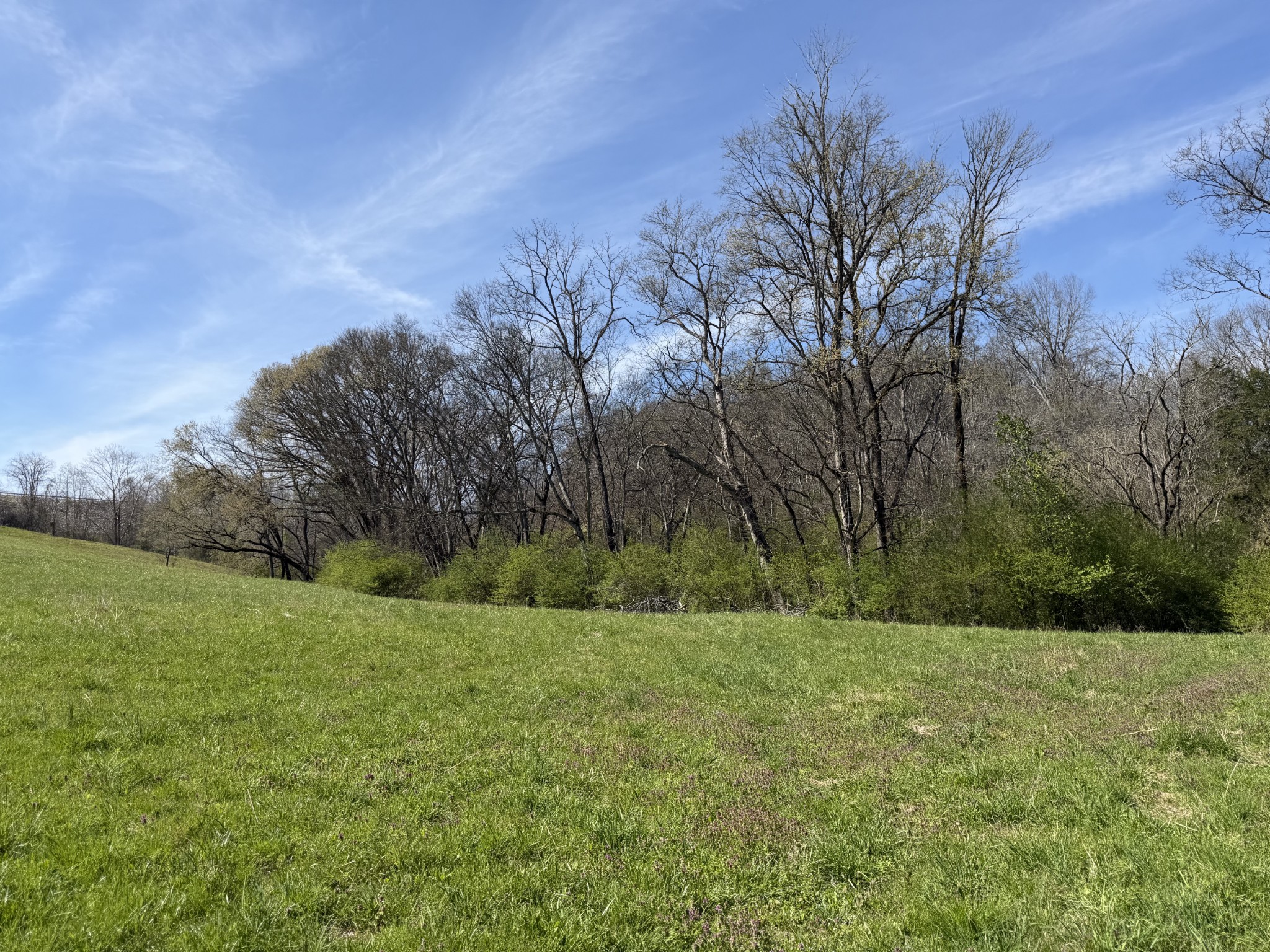 20 Fly Road Santa Fe, TN 38482 - Photo 7 of 22 a view of a field with trees