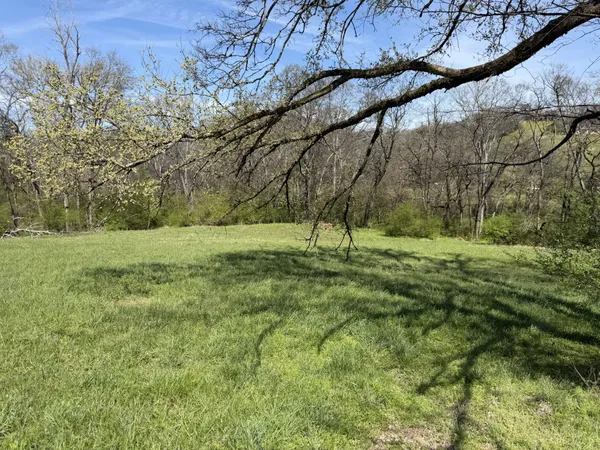 a view of a field with a tree