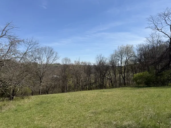a view of an outdoor space and a yard
