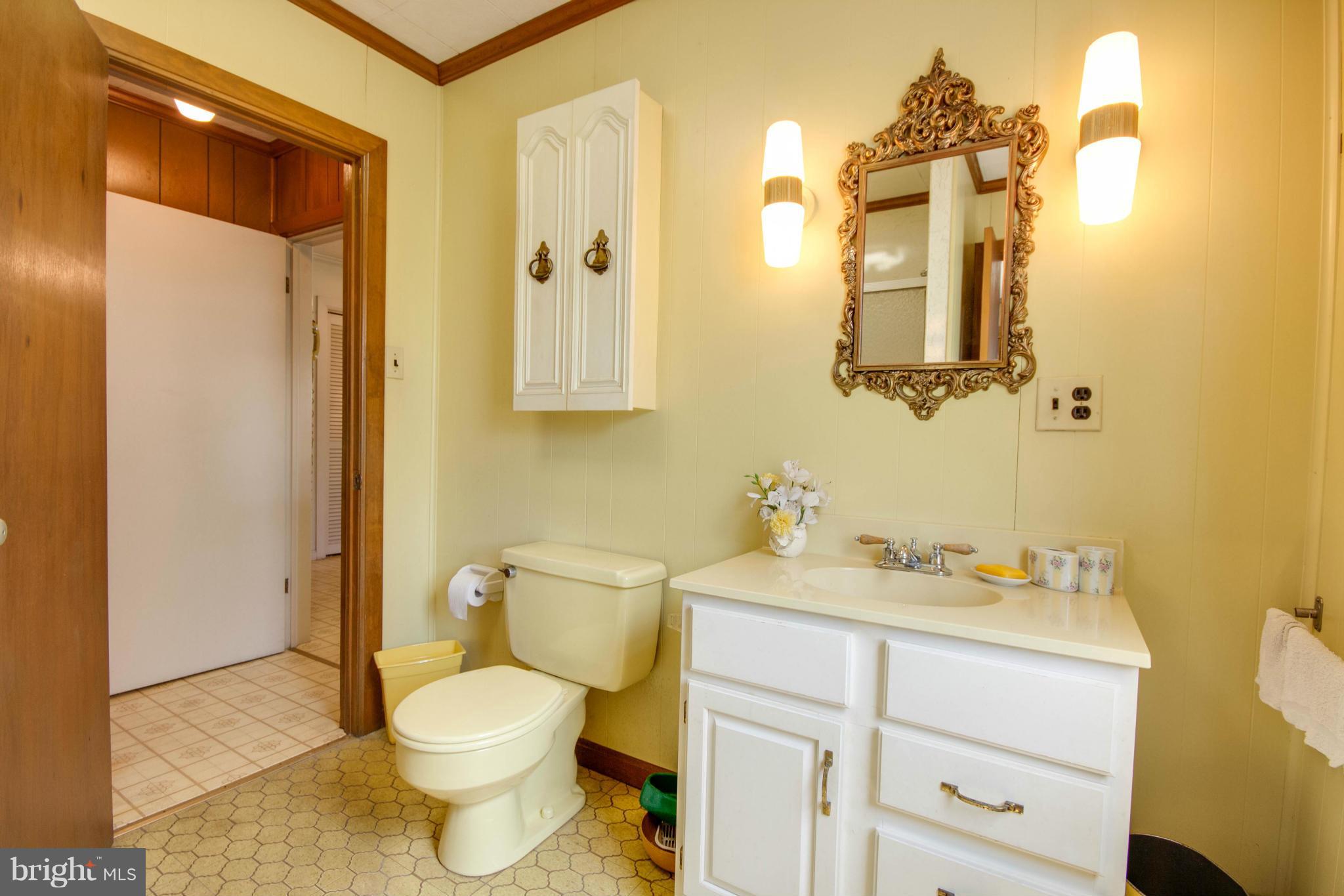 38130 Graves Road Coltons Point, MD 20626 - Photo 16 of 30 a bathroom with a sink toilet and mirror