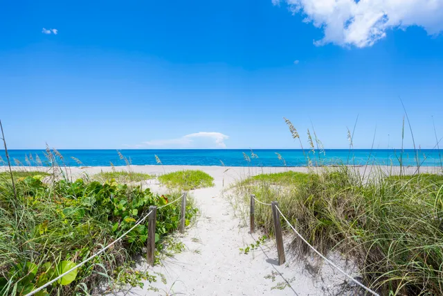 a living room with furniture a rug and a chandelier
