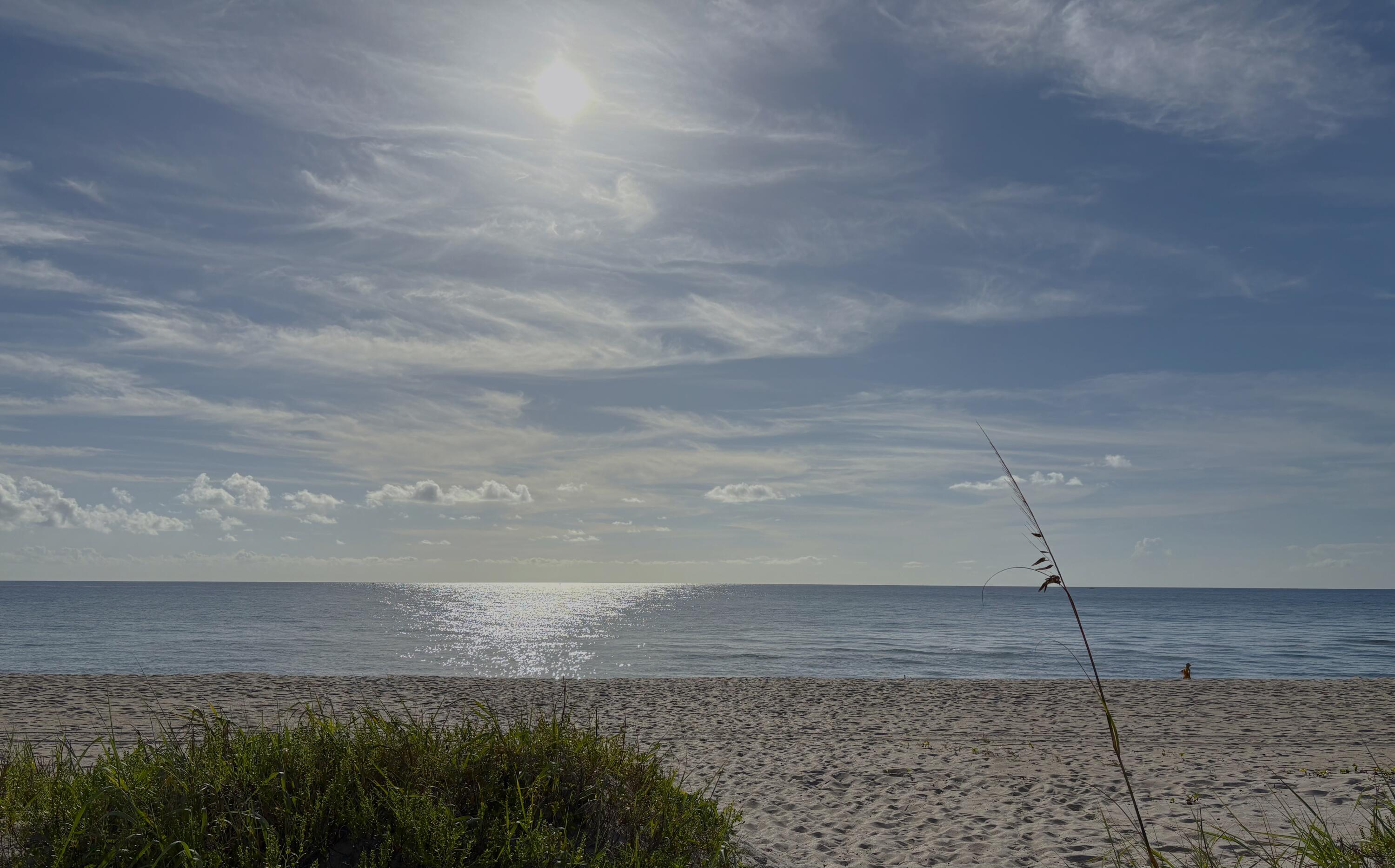 2760 South Ocean Boulevard, Unit 213 Palm Beach, FL 33480 - Photo 21 of 24 a view of a yard with wooden fence