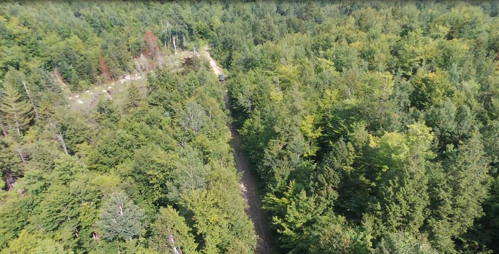 Tbd Tbd Salem Road Strong, ME 04983 - Photo 15 of 22 Roads-004