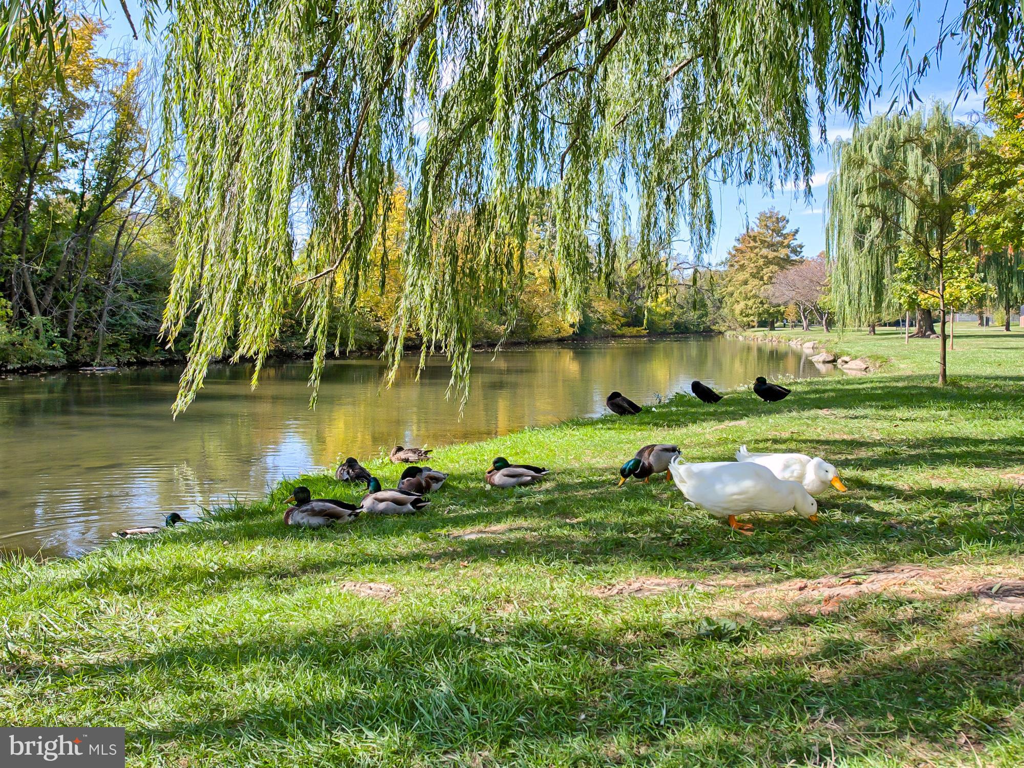 13 East 2nd Street Frederick, MD 21701 - Photo 45 of 64