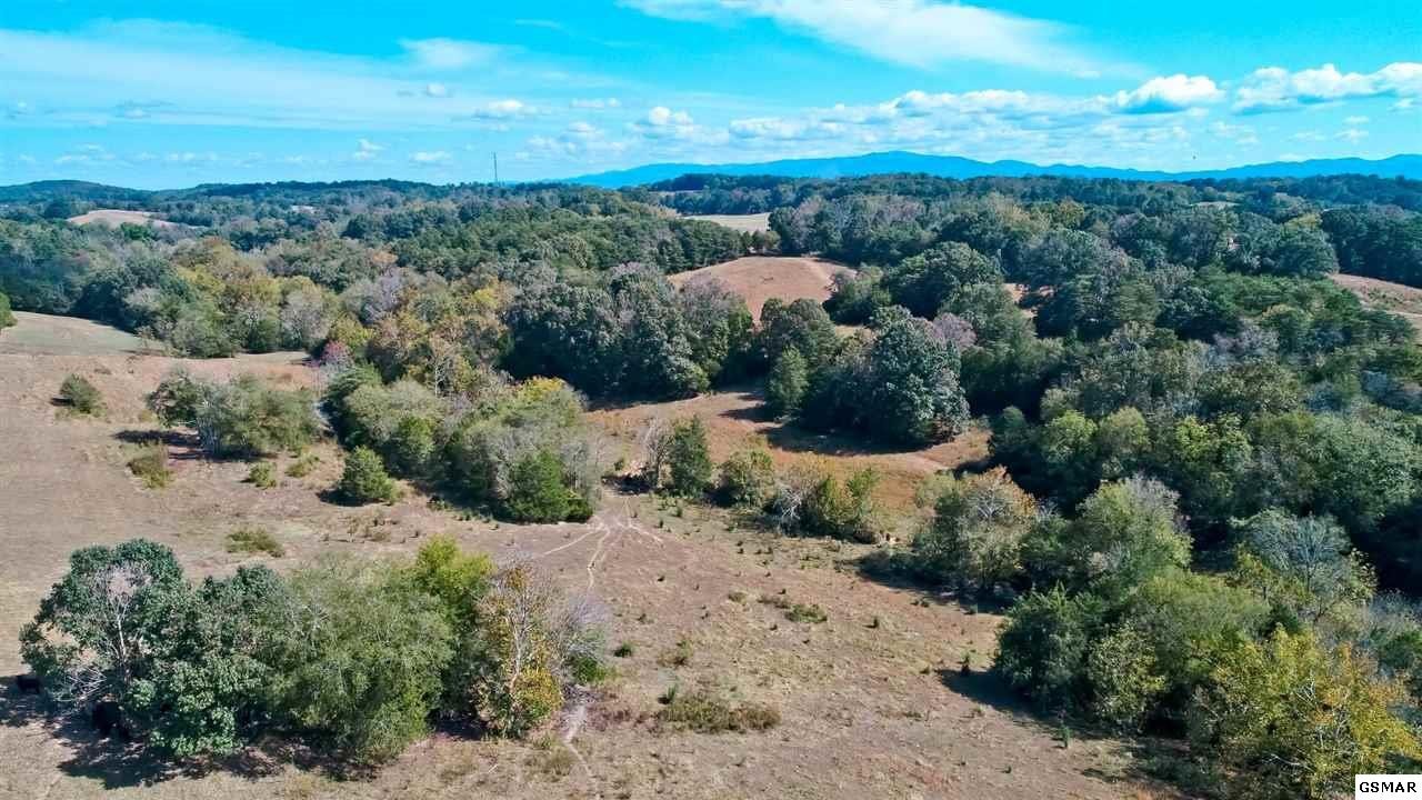 4 Timber Ridge Road Greeneville, TN 37743 - Photo 8 of 30 Gallery Image 8