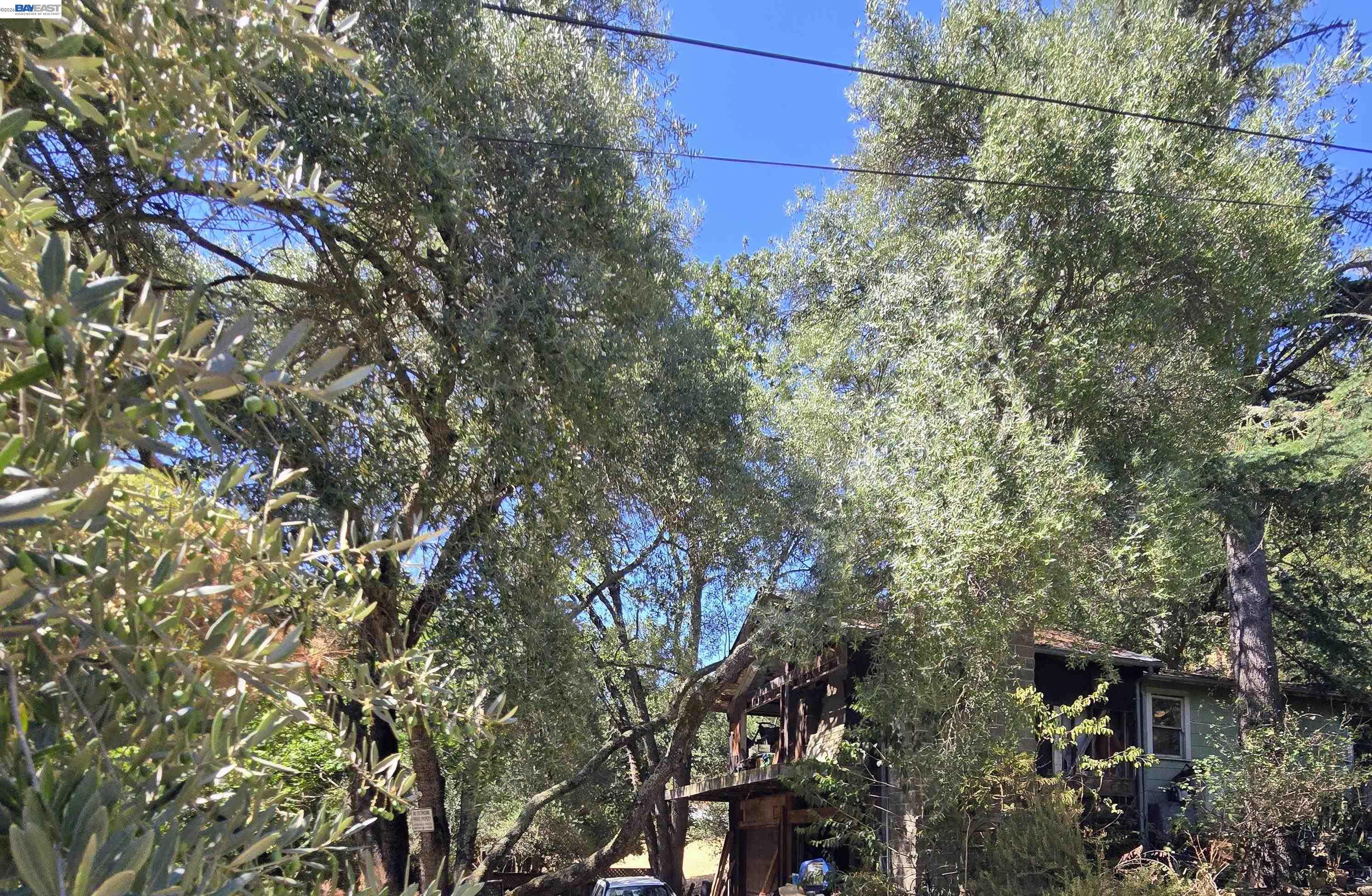 821 Kilkare Road Sunol, CA 94586 - Photo 1 of 16 a view of a tree