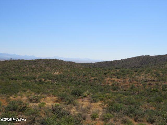 36 Acres Douglas Az 85607 Douglas, AZ 85607 - Photo 28 of 29