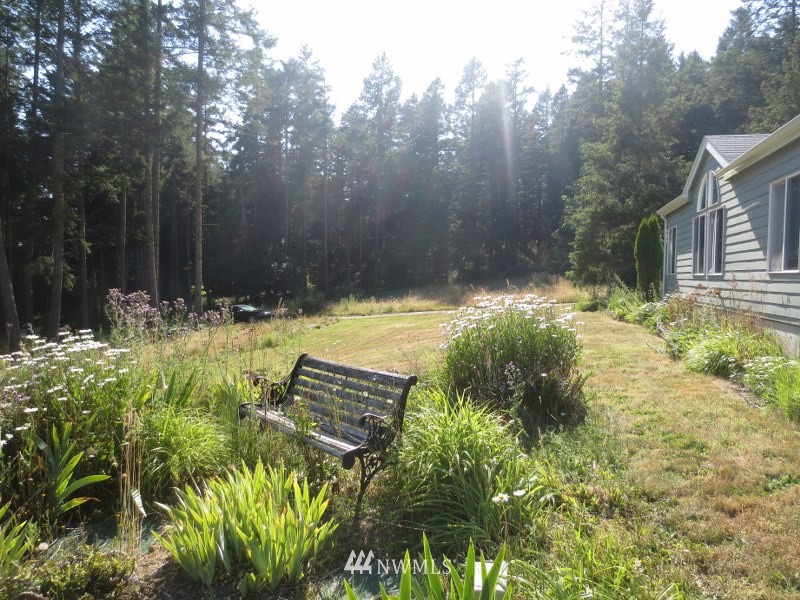 229 Pinneo Road Orcas Island, WA 98245 - Photo 4 of 21 Gallery Image 4