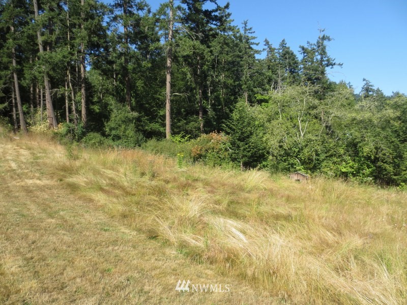 229 Pinneo Road Orcas Island, WA 98245 - Photo 5 of 21 Gallery Image 5