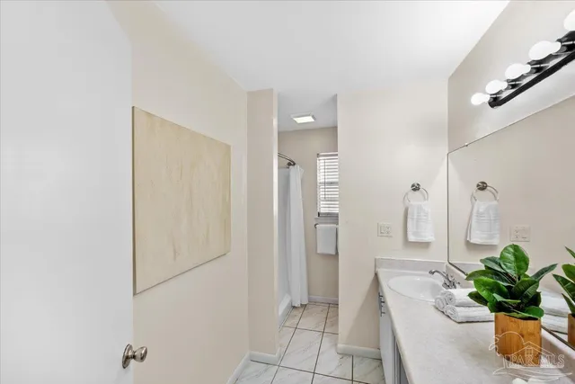 a room with a potted plant