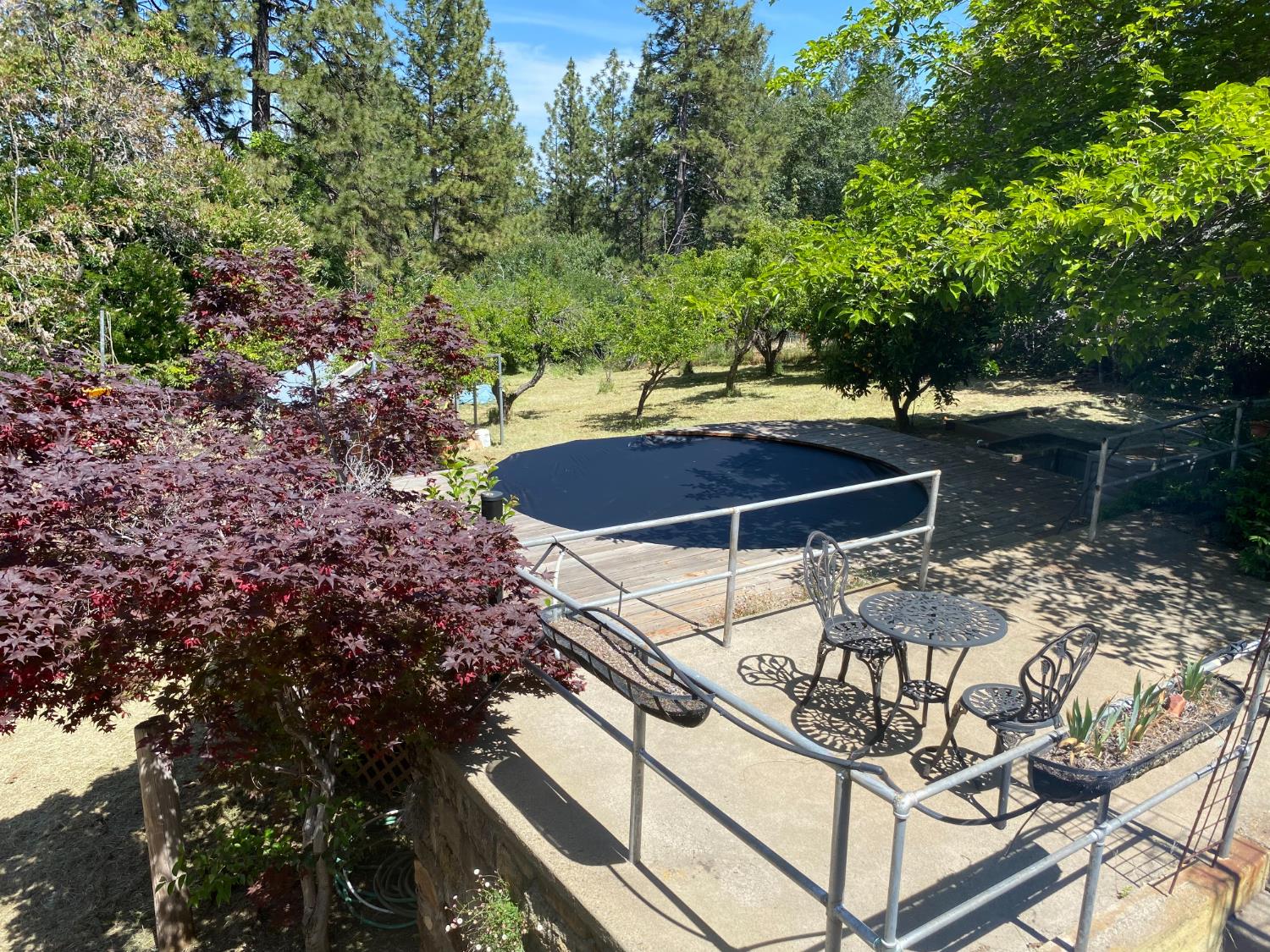 9340 Mosquito Road Placerville, CA 95667 - Photo 82 of 92