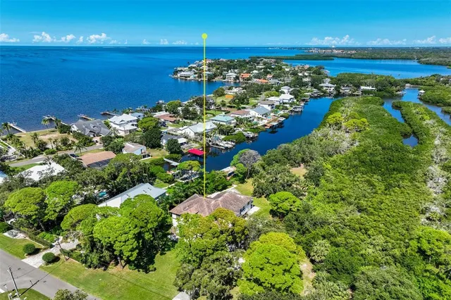$1,800,000 | 155 Sage Road, Palm Harbor, FL 34683