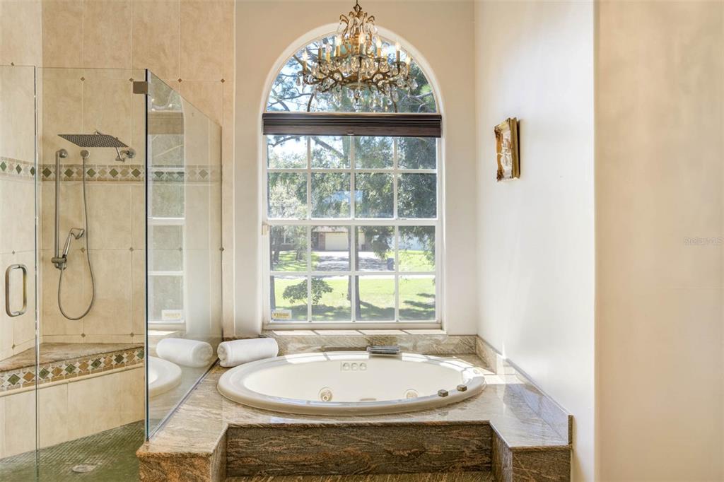 155 Sage Road Palm Harbor, FL 34683 - Photo 13 of 36