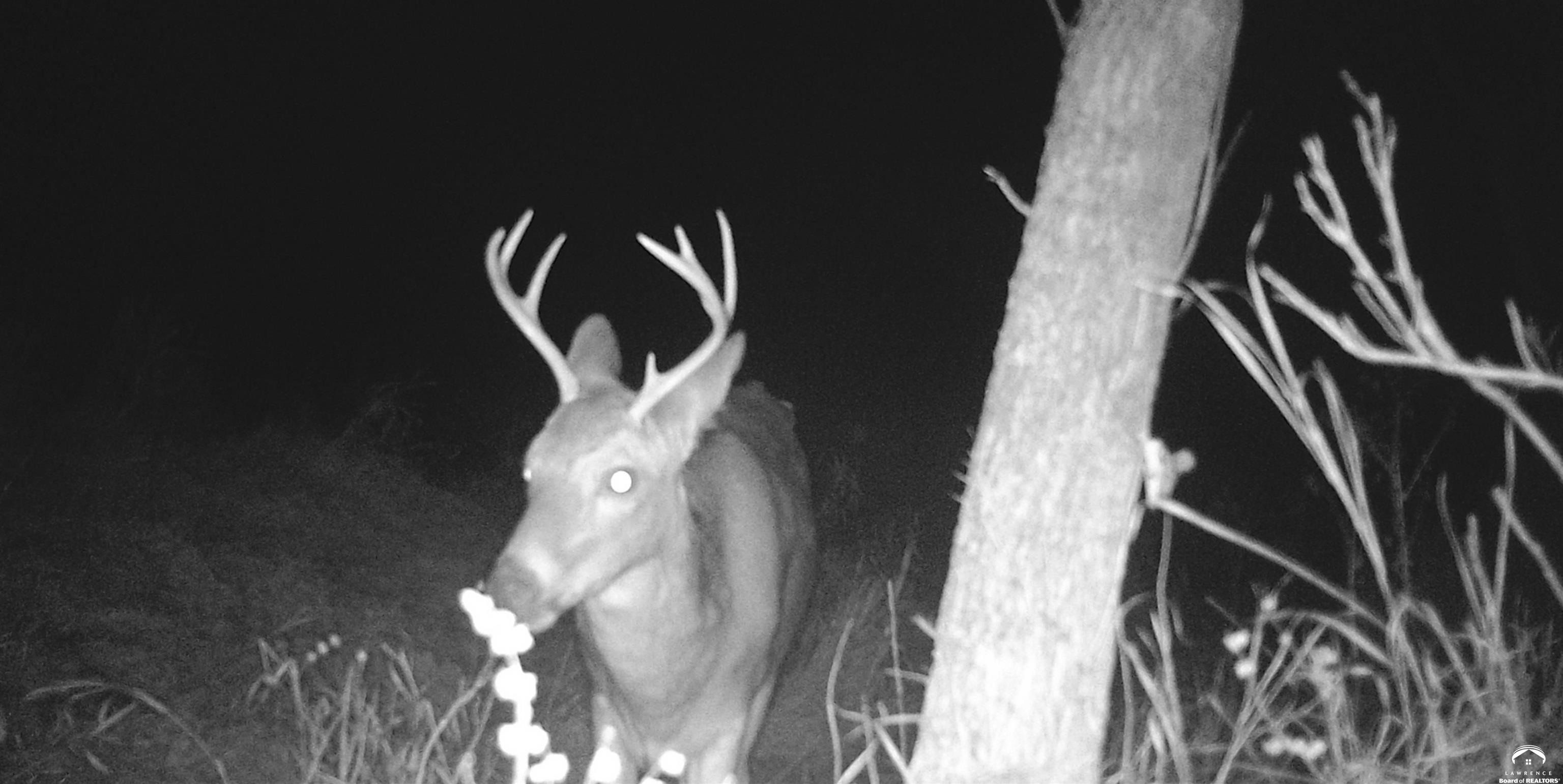 4919 Ferguson Road Perry, KS 66073 - Photo 12 of 22