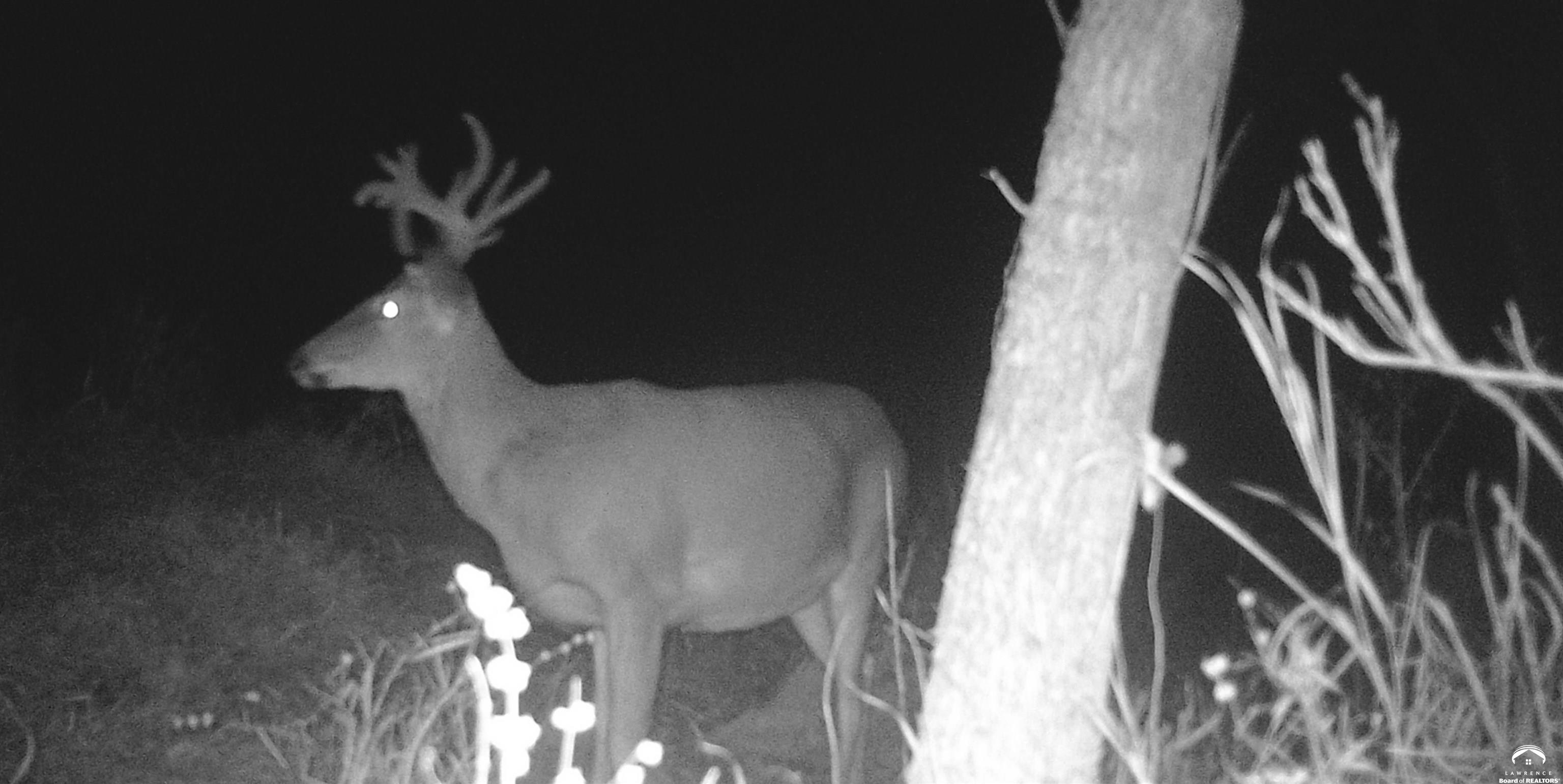 4919 Ferguson Road Perry, KS 66073 - Photo 13 of 22