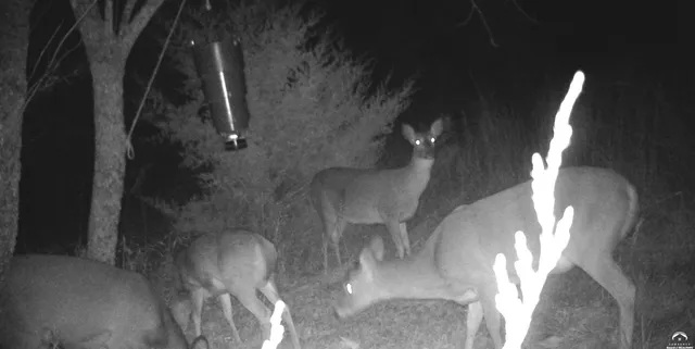 $1,840,000 | 4919 Ferguson Road, Perry, KS 66073