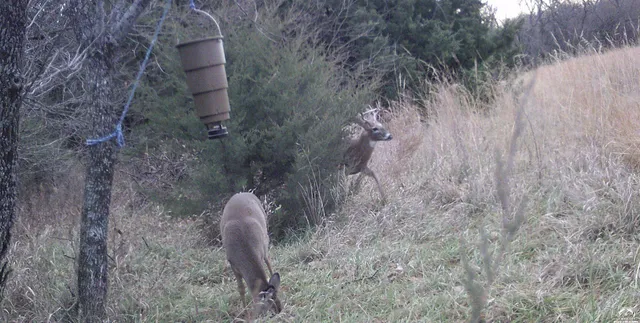 $1,840,000 | 4919 Ferguson Road, Perry, KS 66073